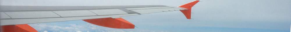 flight